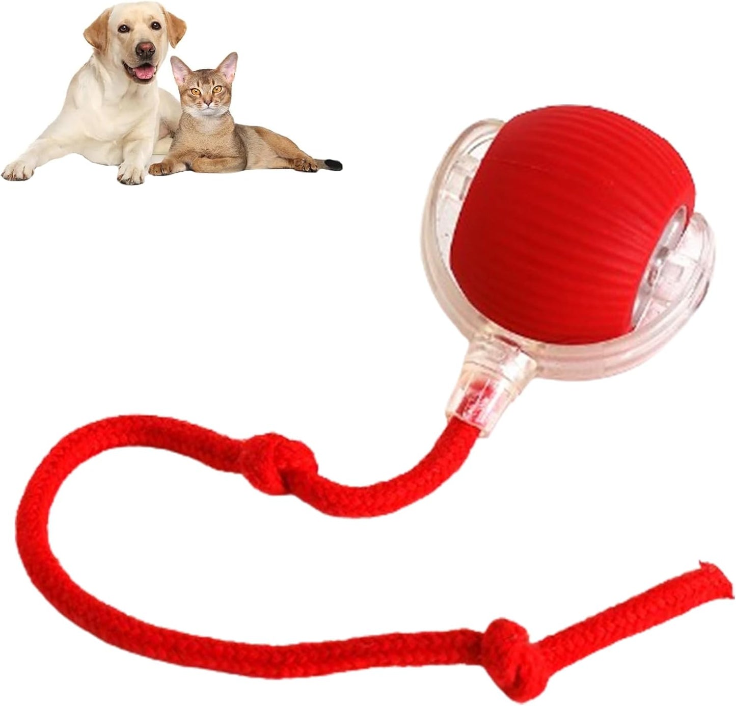 Active-Roll Smart Interactive Pet Ball
