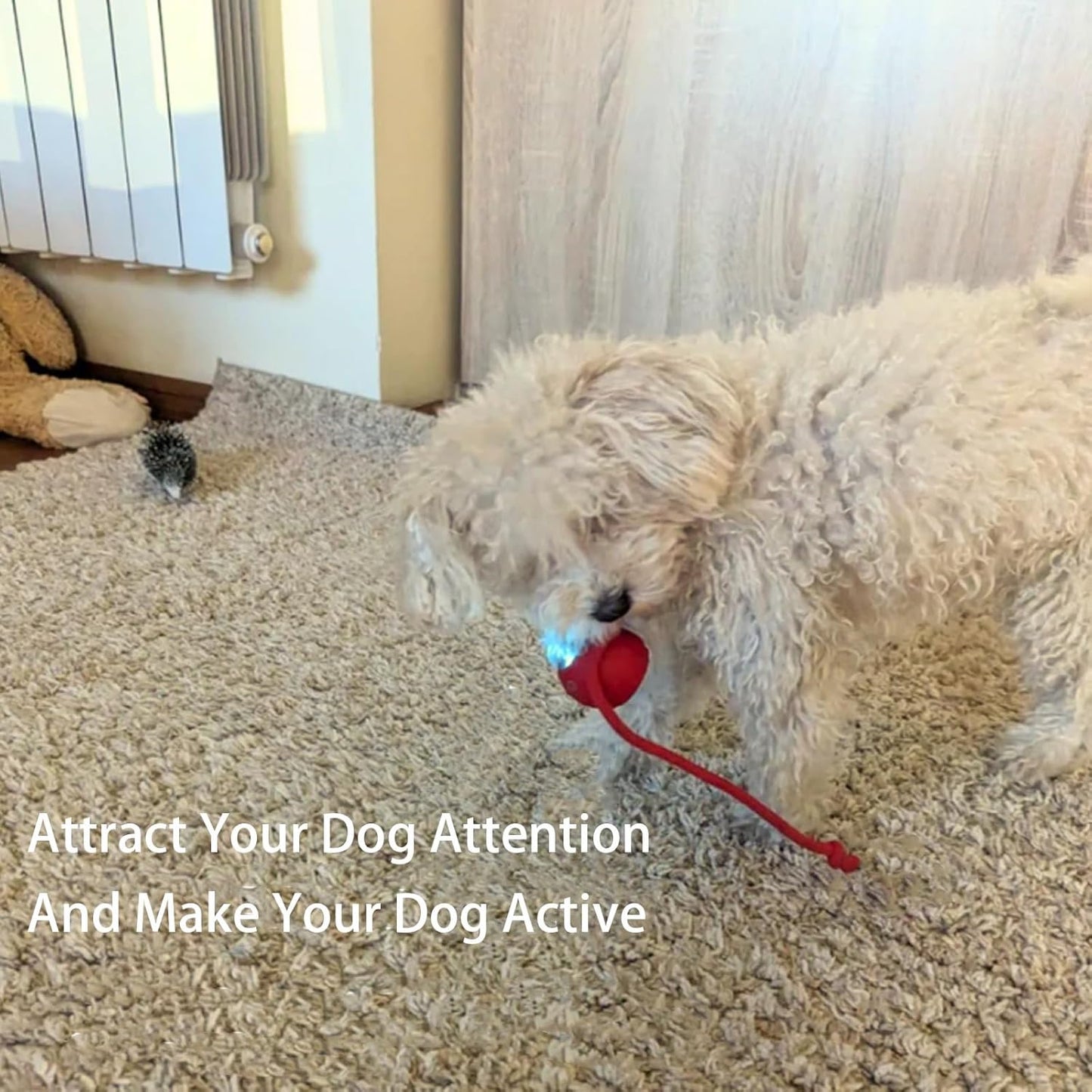 Active-Roll Smart Interactive Pet Ball