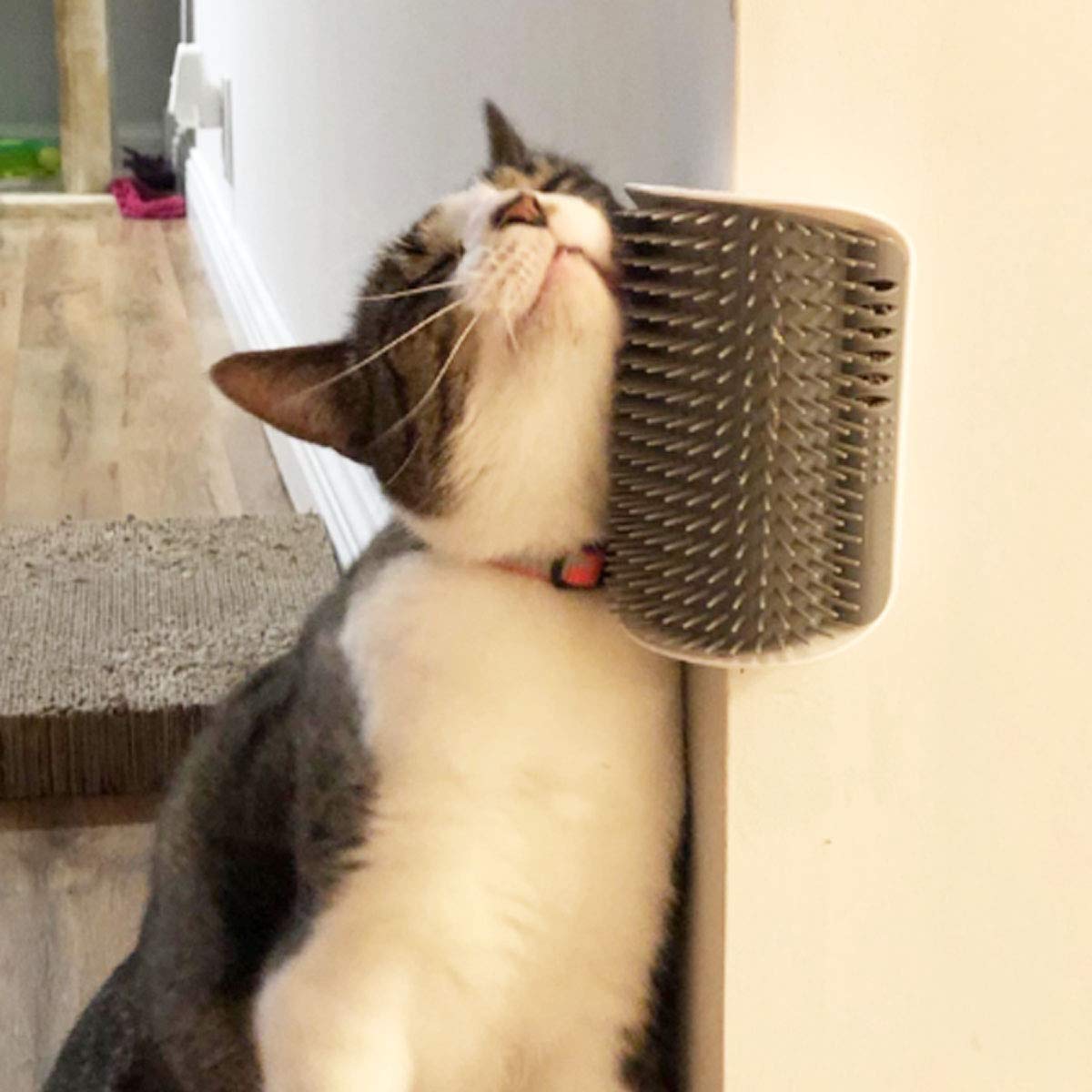 Interactive Self-Grooming Arch & Wellness Corner Massager