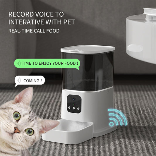 The Concierge Series | Video, Key & App Controlled Smart Pet Feeder