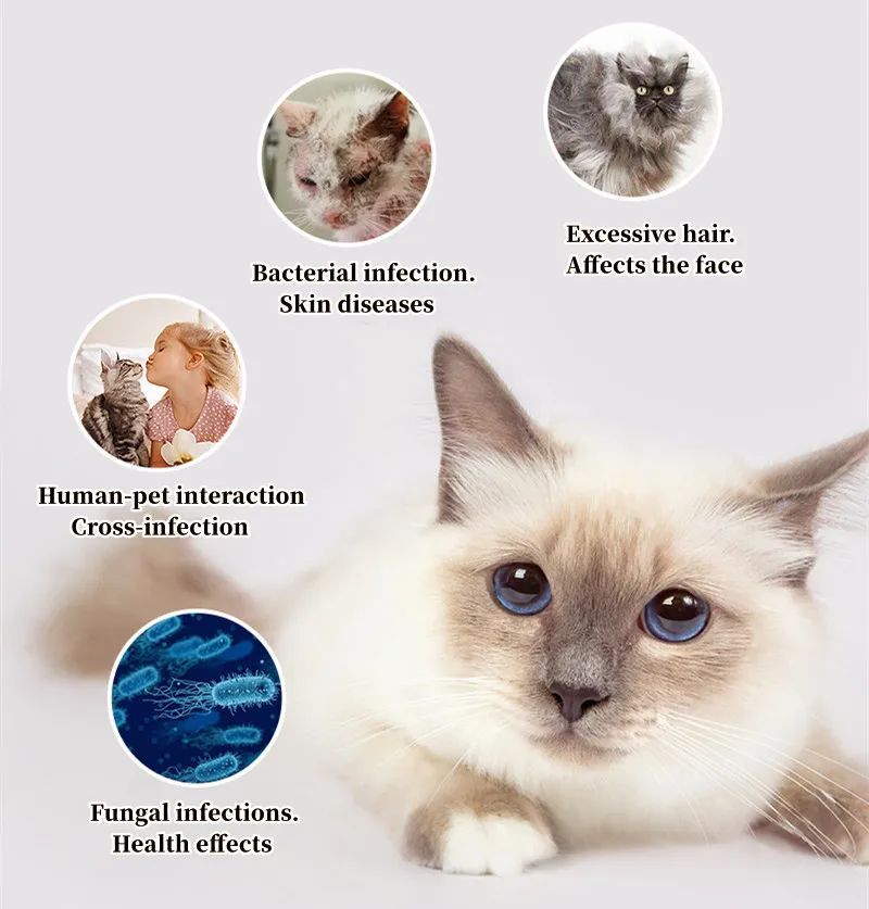 Pure-Coat UVC-Sterilizing Tangle-Free Slicker- Comb