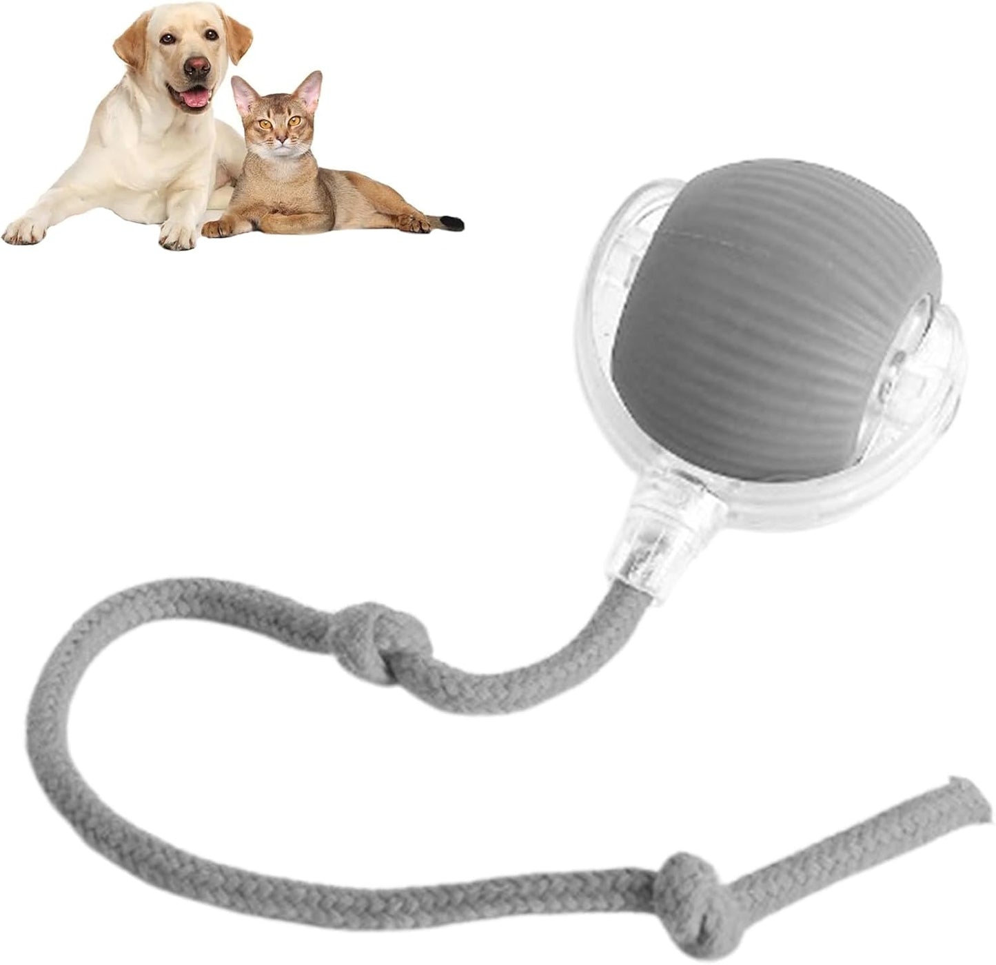 Active-Roll Smart Interactive Pet Ball