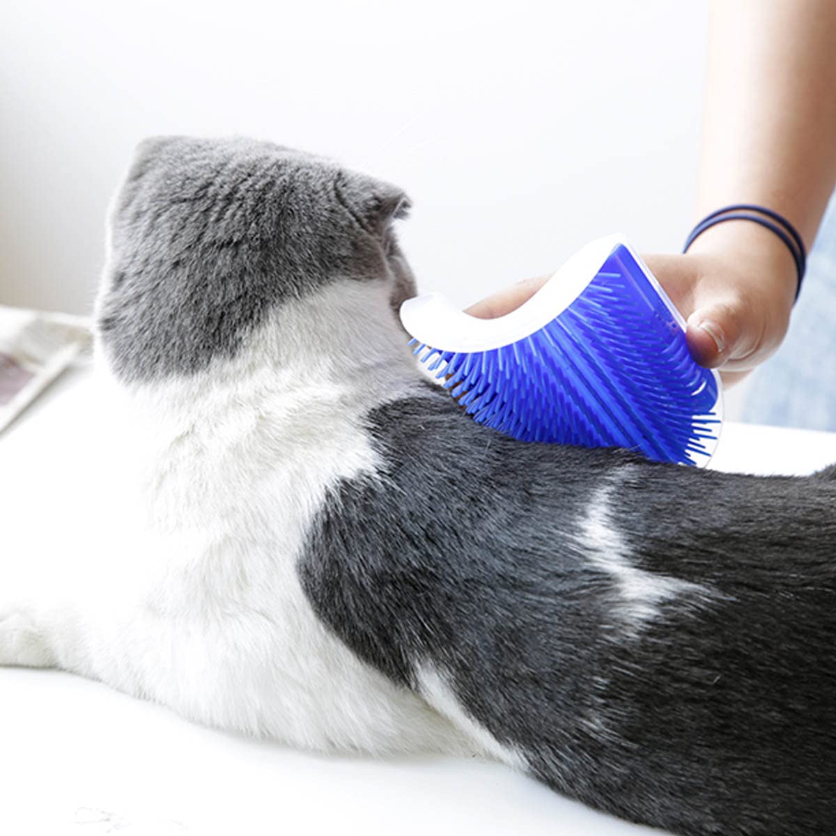 Interactive Self-Grooming Arch & Wellness Corner Massager