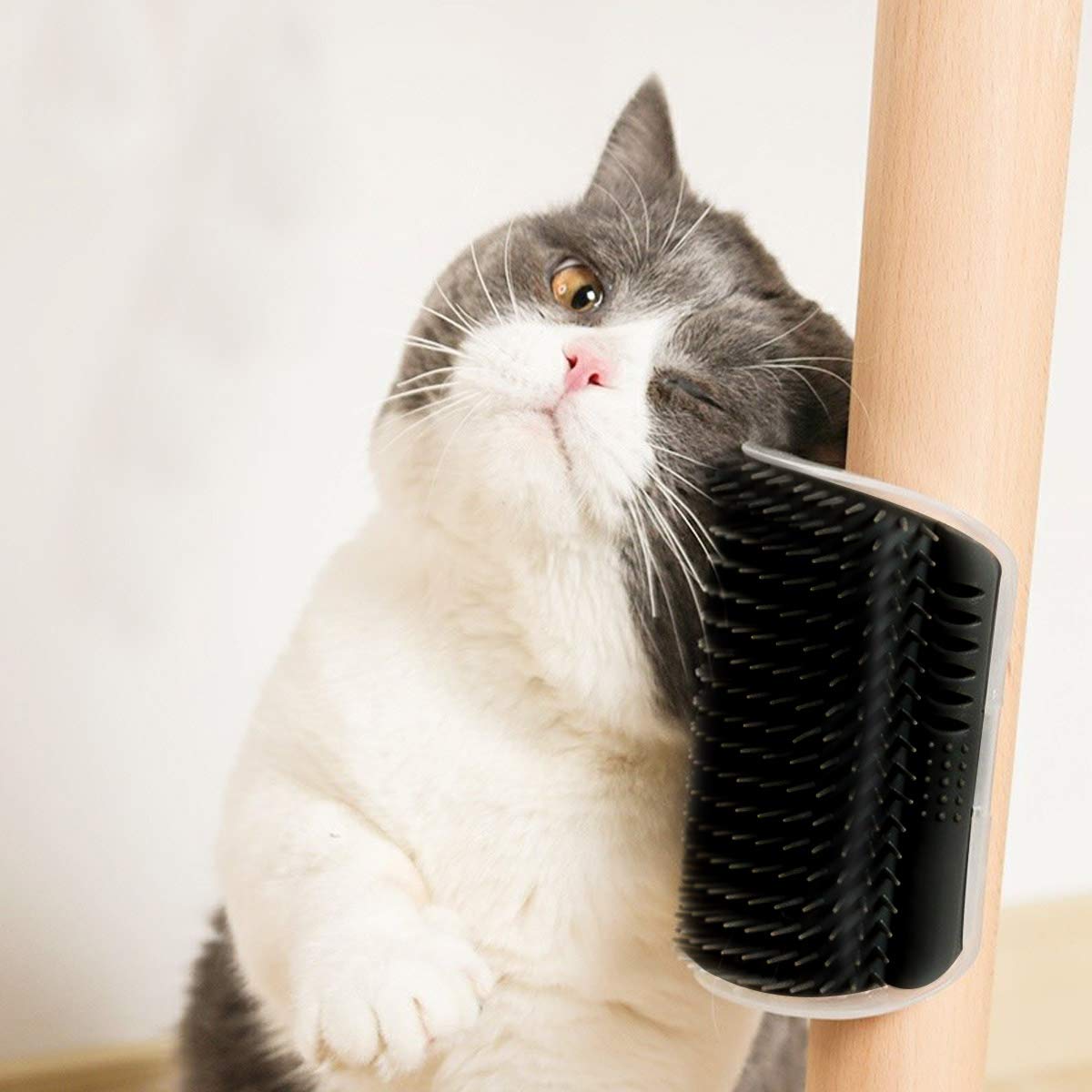Interactive Self-Grooming Arch & Wellness Corner Massager