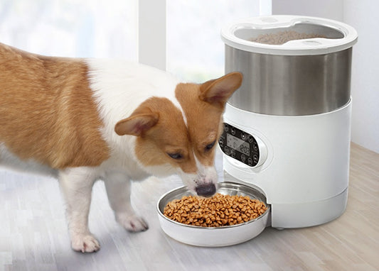 The Harmony Series | App & Timer Controlled Single, Dual Bowl Smart Feeder