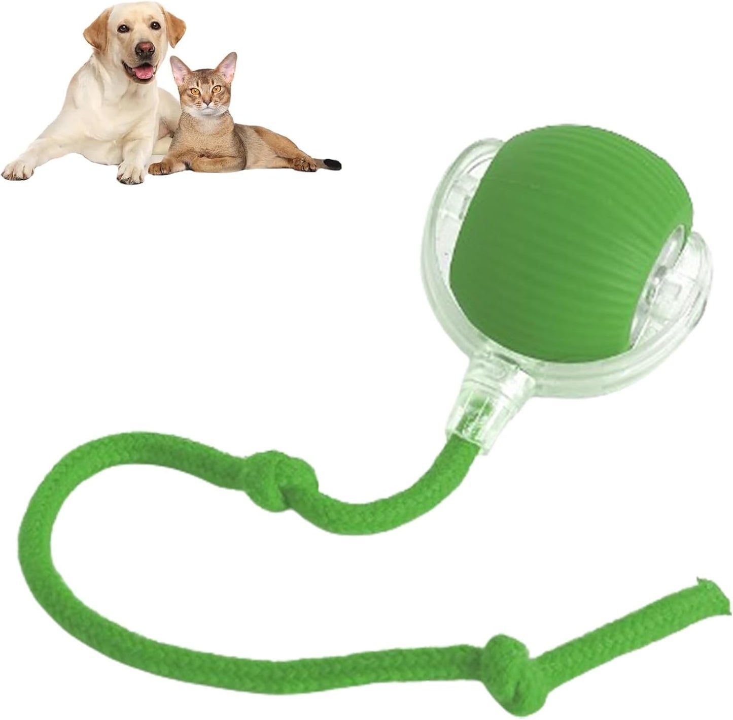 Active-Roll Smart Interactive Pet Ball